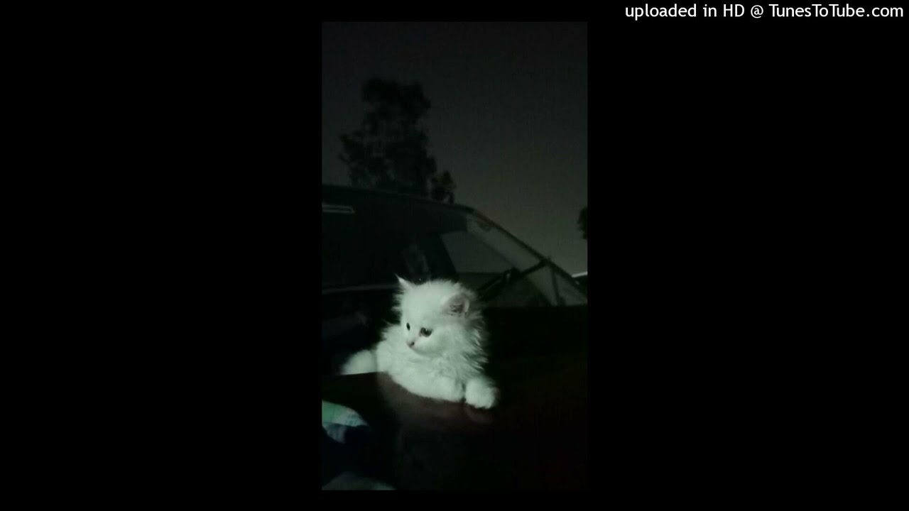 3xtinct - ✞into the gloom//v temnote