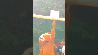 gangster teddy bear tiktok funny videos #foryou #funny #teddybear