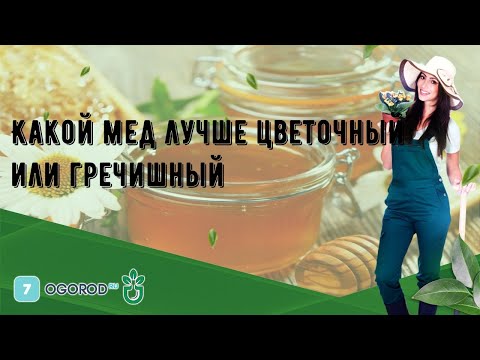 Какой мед лучше цветочный или гречишный