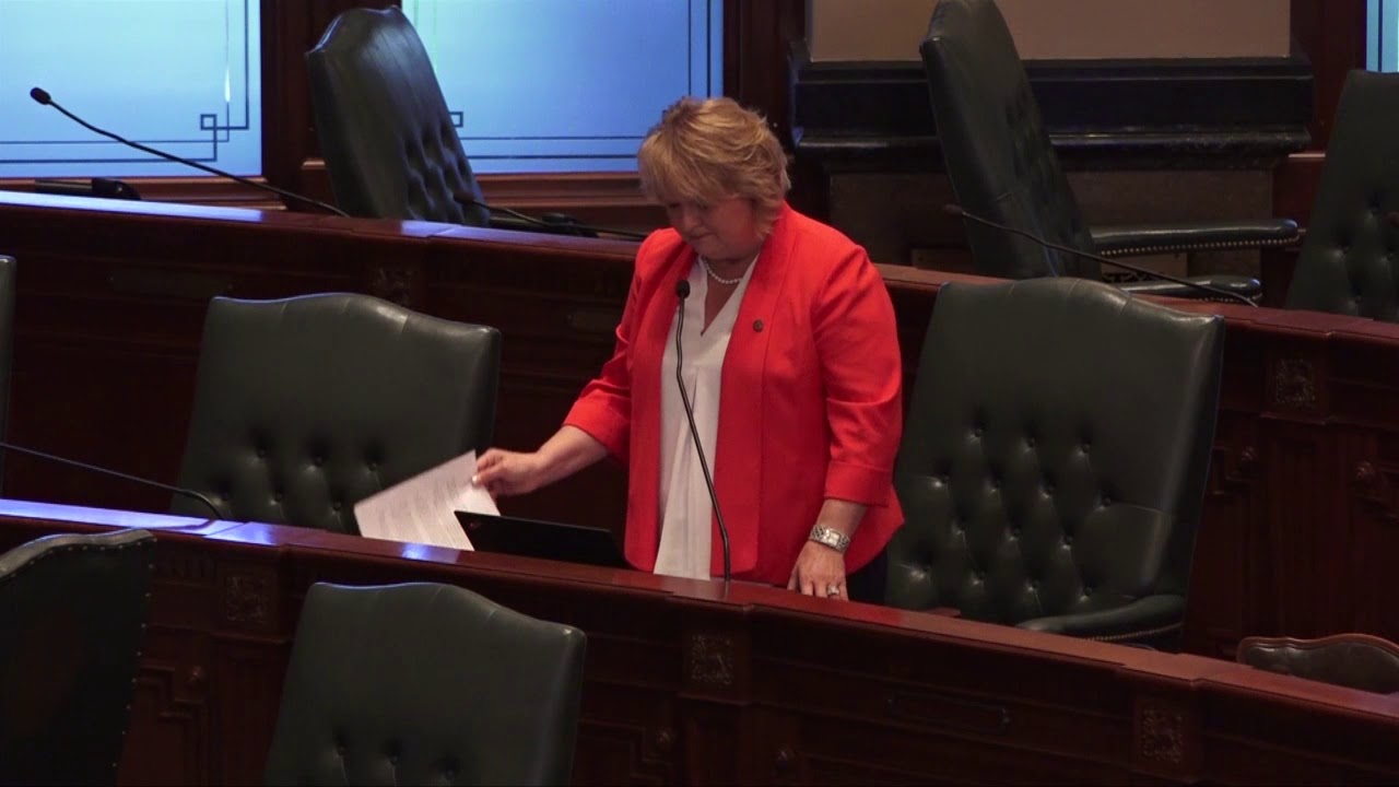 Rep. Terri Bryant Defends SIU Carbondale against Attacks