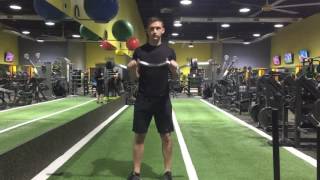 EZ Bar Reverse Curl | SamForget.com