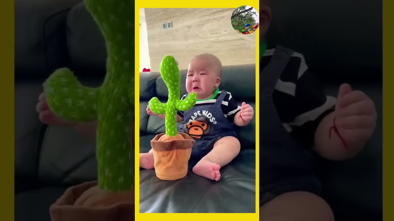 Crying Baby Shorts Viral Dancing Cactus