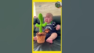 crying baby #shorts #viral #dancing cactus