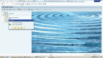 13. SAP Profiles Administration RZ10 & RZ11