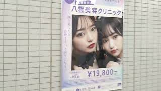 8番出口と柴犬