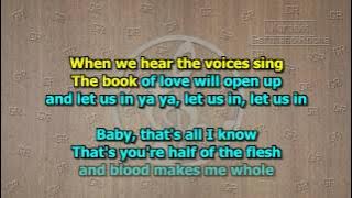 Mr. Mister - Broken Wings (Karaoke)