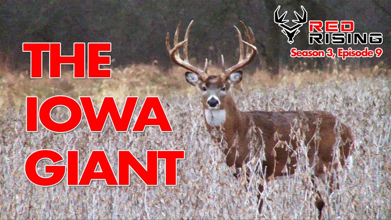 Red Rising Season 3 Episode 9 The Iowa Giant [DEER HUNTING] YouTube