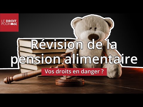 Vidéo: Modification Du Montant De La Pension Alimentaire établie Par Le Tribunal
