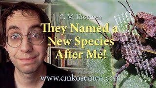 They Named a New Species After Me! (🦗Naskreckiana kosemeni🦗)