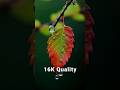 Unlock 16K Ultra Photo Quality with AI – Step-by-Step Tutorial!