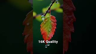 Unlock 16K Ultra Photo Quality with AI – Step-by-Step Tutorial!