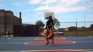 BRING THE LIFE TO THE PARTY  New music video HD 2014