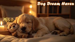 12 Hours of Dog Sleep Music 🎶🐶 Soothing Music for Dogs to Calm Down 🌿💖 Restore Complete Harmony