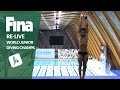 Re-Live - Day 7 Final - FINA World Junior Diving Championships 2016 - Kazan (RUS)