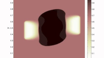 Euler w maximal density constraint: density