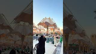 Islamic video #shorts #video #viral