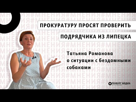 Бездомные собаки в Оренбурге. Прокуратуру просят проверить подрядчика из Липецка