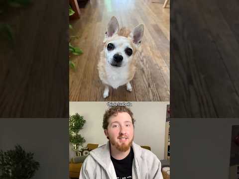 This is Isabella ❤️🩹