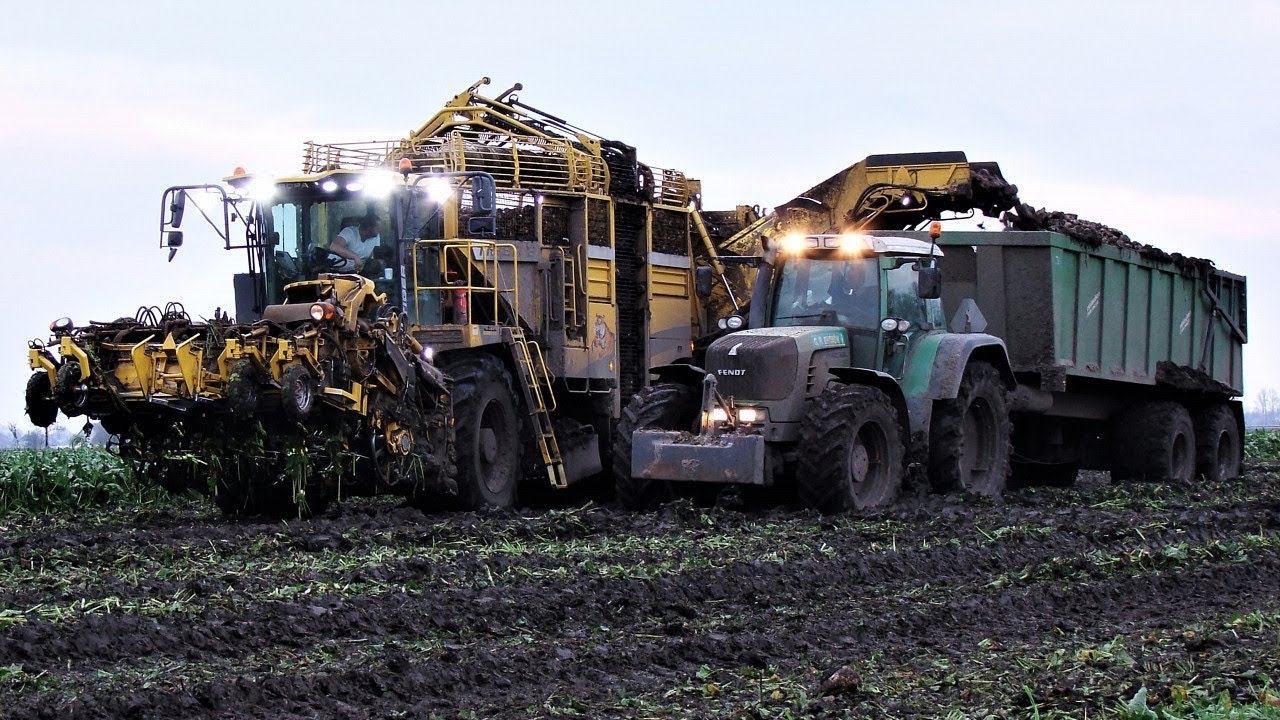 maxresdefault Błoto im nie straszne! Ropa Tiger 6 i Fendt 920 kopią buraki   VIDEO