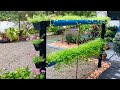 GARDEN MAKEOVER Part 1 | പൂന്തോട്ടം എങ്ങനെ ഭംഗി കൂട്ടാം