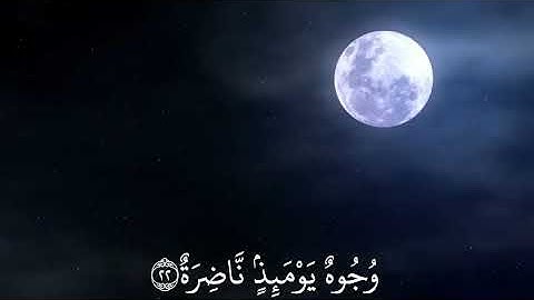 ماهر المعيقلي| حالات واتس اب دينية سورة القيامة🥺