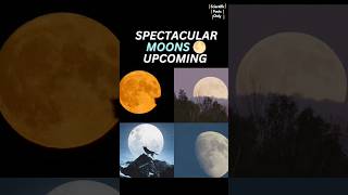 Don't Miss These spectacular Moons of the year 2025 🌕💀 #moons #astronomy #space #celestialevents