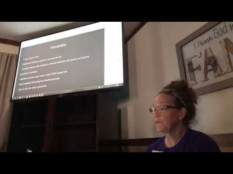 cheetah running speed Kitten Karma presents to volunteers about our foster kitten partnership with the Humane Society of