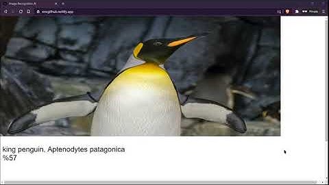 Image Recognition AI with ml5.js and p5.js