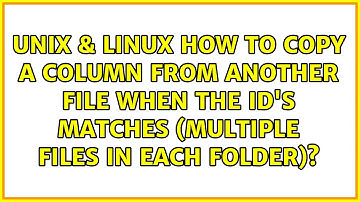How to copy a column from another file when the ID