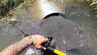 UNPLUGGING CULVERT THEN SETTING FOR THE BEAVER THAT CLOGGED IT