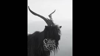 Callix Aureus - Kyrie Dolor