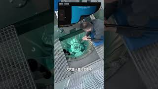 Why are workers completely unaffected by radiation when handling nuclear fuel with their bare han...