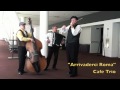 Arrivaderci Roma Cafe Trio 