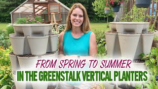 How to Transition Greenstalk Vertical Planters from Spring to Summer Crops