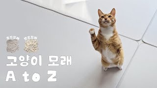SUB) 고양이 모래가 고민이라면 드루와! 벤토, 두부 비교영상 보여줄게! | 고양이 브이로그 | cat vlog