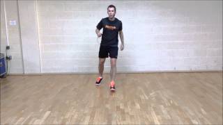 HiLo 32 Count Combo With Breakdown November 2013