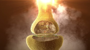 3D Depiction of nerve cell synapse