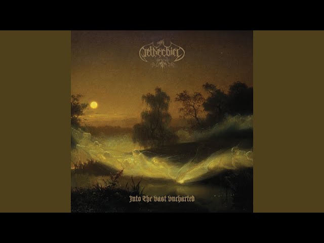 Netherbird - Nexus of Unlight