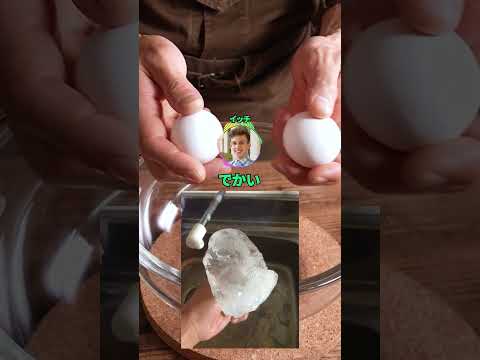 2週間ぶりに冷凍庫開けたらとんでもないことになってたんだが #2ch #shortsのサムネイル