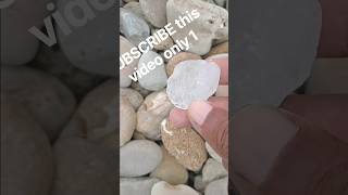 I Found a Rare White Stone on the Beach! 😱💎 | Amazing Rock Discovery #Shorts