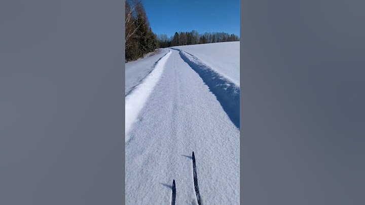 Sunny winter day ◾ Päikeseline talvepäev #sun #sunny #skiing #winter #karksinuia #googlepixel6pro