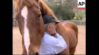 Acquitted actor works as ranch hand, plans comeback