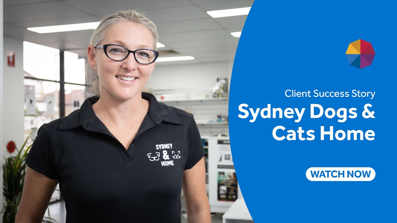 Employsure Voices Sydney Dogs & Cats Home YouTube