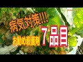 【農薬の使い方】これが揃えば大丈夫！厳選殺菌剤７品目　タネのハシモト