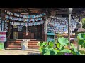 蓮とテルテル坊主　生蓮寺（しょうれんじ）奈良県五條市