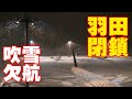 [Snowstorm Tokyo Haneda Airport] 空港閉鎖！羽田空港が吹雪で大量欠航! 2014年2月8＆9日の記録!