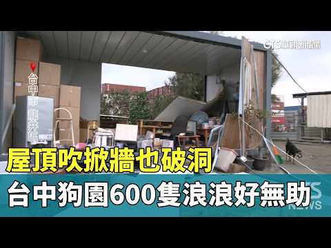 Roof Ripped Off, Walls Caved In: 600 Strays Helpless at Taichung Dog Shelter｜CTS News 20261024@CtsTw