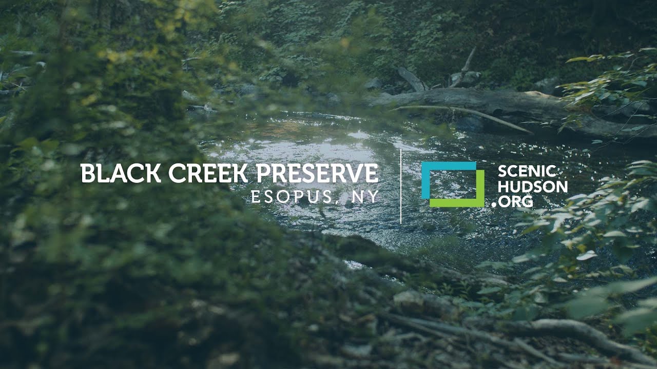 A visit to Black Creek Preserve in Esopus, NY YouTube