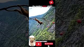 Download Lagu Hunger Is Greater Than Fear#wild #animals #viral #animalshorts #animallife #wild@Yadwinder2.0 MP3 Download Lagu Hunger Is Greater Than Fear#wild #animals #viral #animalshorts #animallife #wild@Yadwinder2.0 MP3