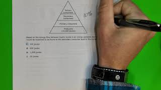 Part 2 of 3 Biology STAAR Question 20-38